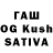 Галлюциногенные грибы Psilocybine cubensis DRUF
