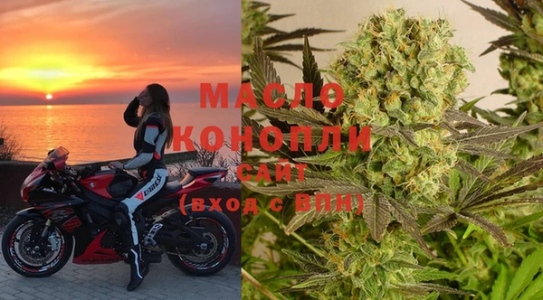 бошки Инта
