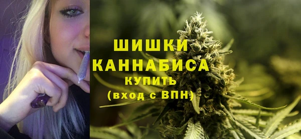 бошки Инта