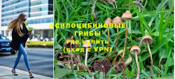 бошки Инта