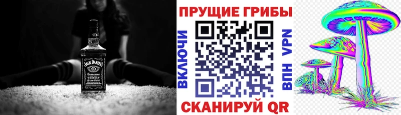 MEGA ссылки Катайск Галлюциногенные грибы Cubensis